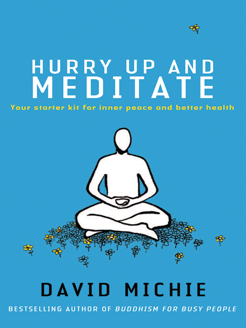 Hurry Up and Meditate