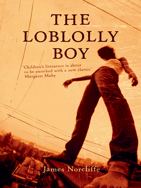 The Loblolly Boy