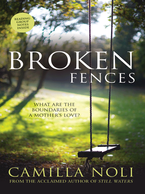 Broken Fences