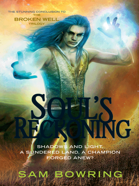 Soul's Reckoning