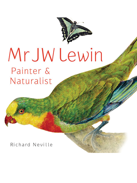 Mr JW Lewin