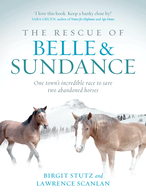 The Rescue of Belle and Sundance