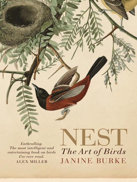 Nest