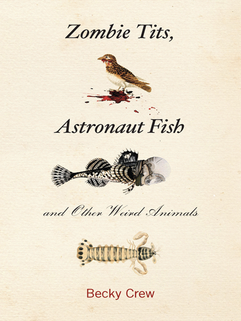 Zombie Tits, Astronaut Fish and Other Weird Animals