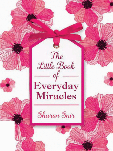 The Little Book of Everyday Miracles