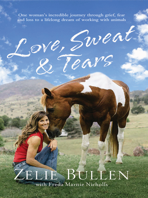 Love, Sweat and Tears