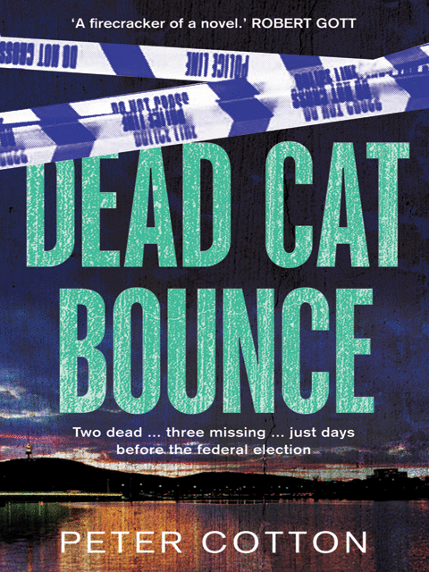 Dead Cat Bounce