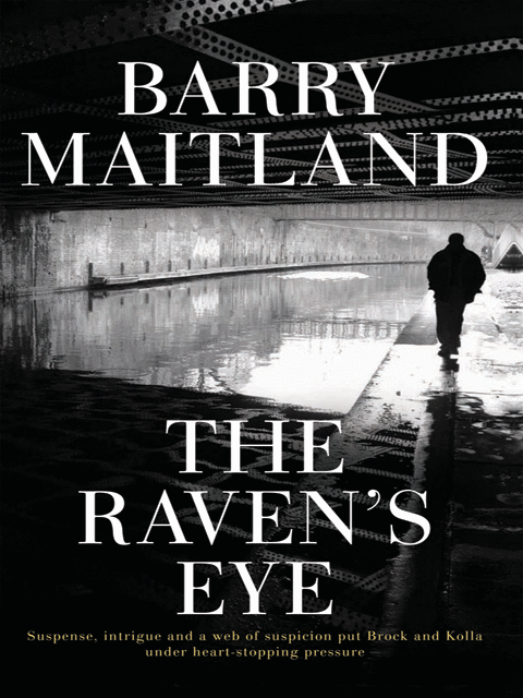 The Raven's Eye