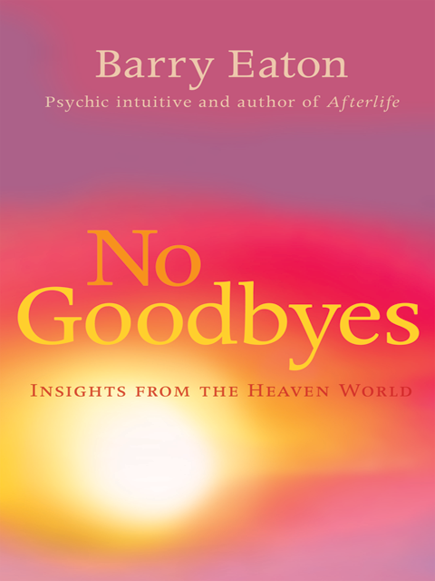 No Goodbyes