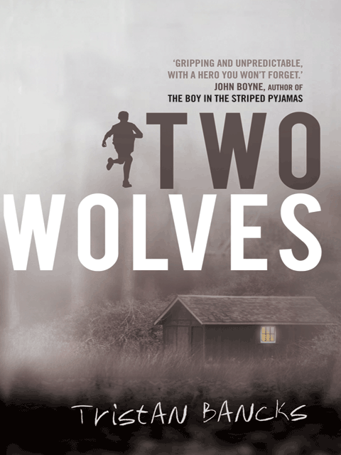 Two Wolves