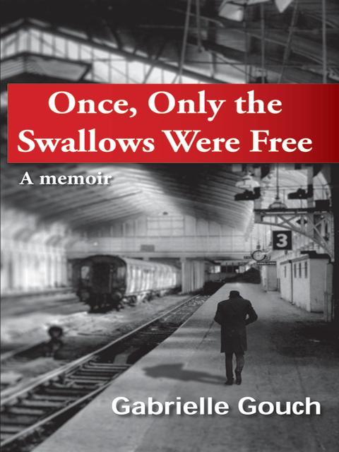 Once, Only the Swallows Were Free
