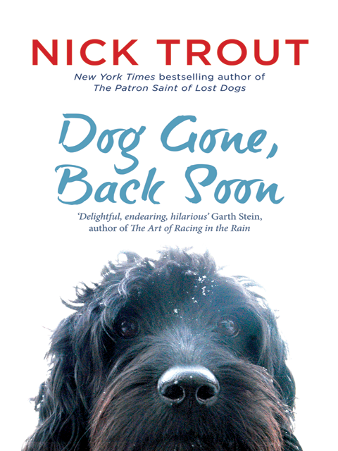 Dog Gone, Back Soon