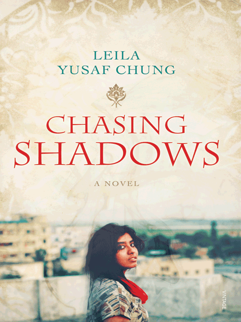 Chasing Shadows
