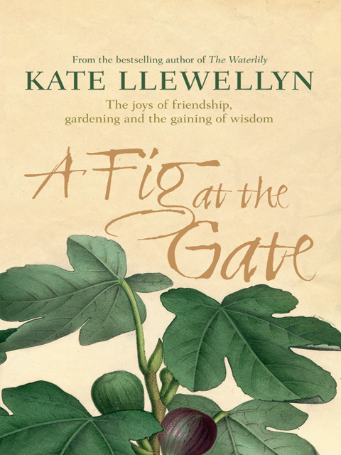 A Fig at the Gate