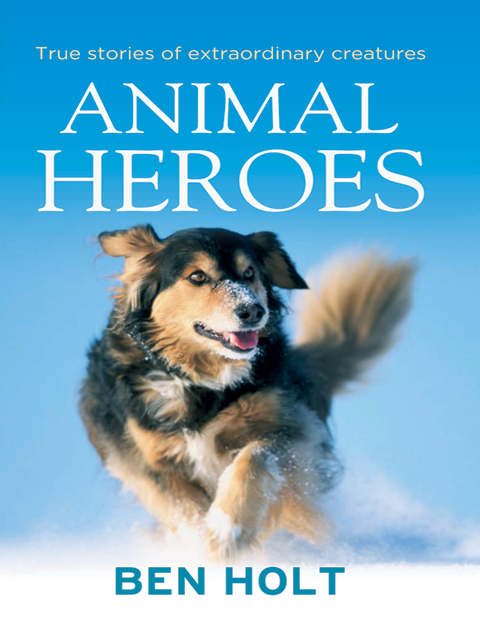 Animal Heroes