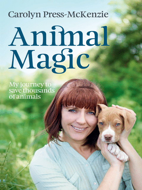 Animal Magic