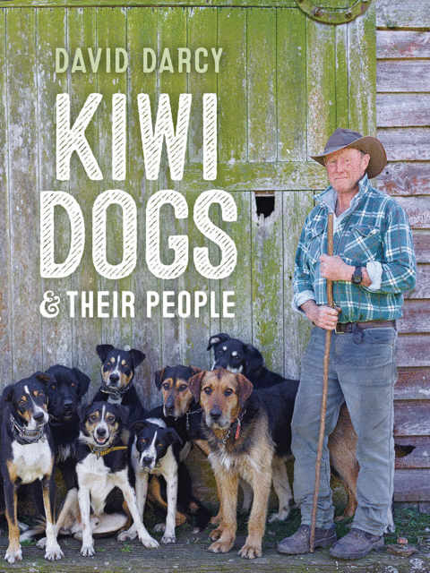Kiwi Dogs