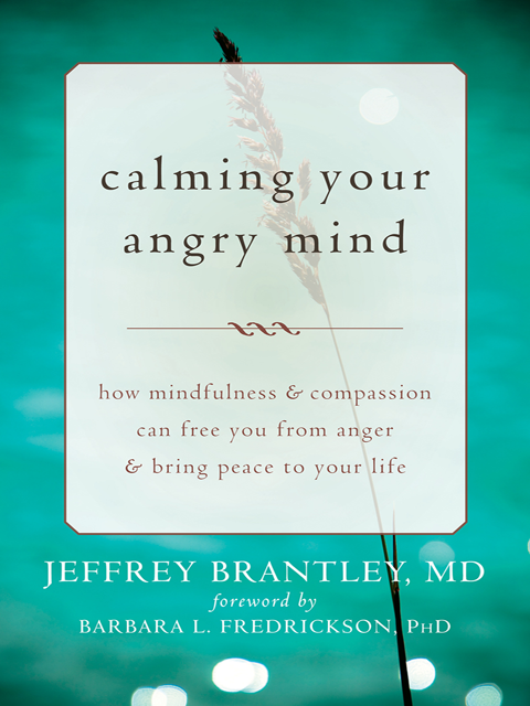 Calming Your Angry Mind