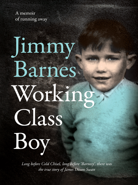 Working Class Boy