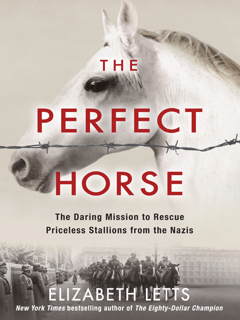 The Perfect Horse