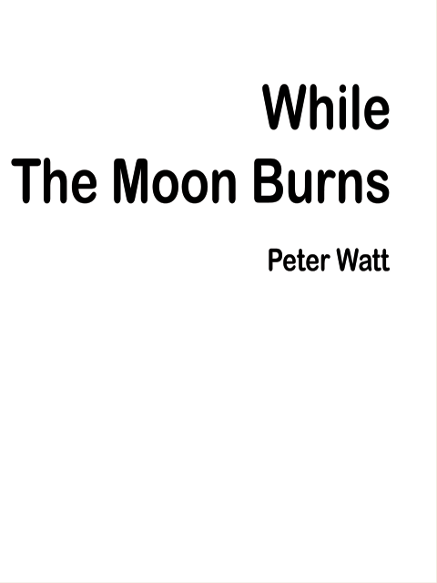 While the Moon Burns