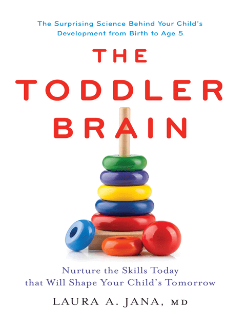 The Toddler Brain