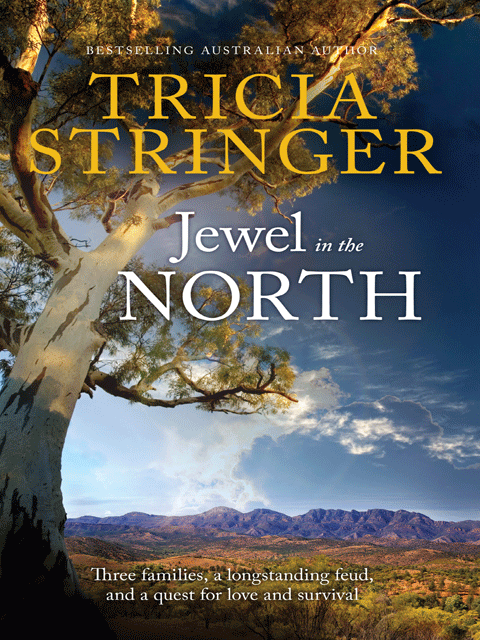 Jewel in the North