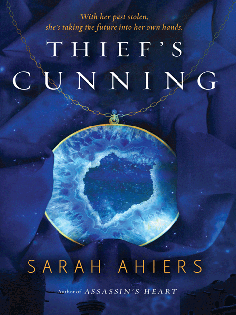 Thief's Cunning
