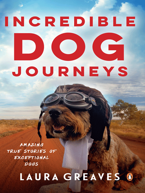 Incredible Dog Journeys