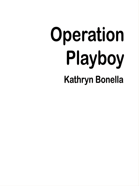 Operation Playboy