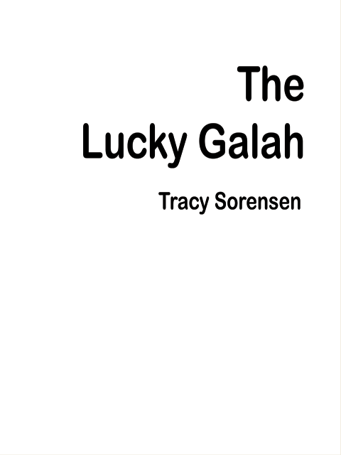 The Lucky Galah