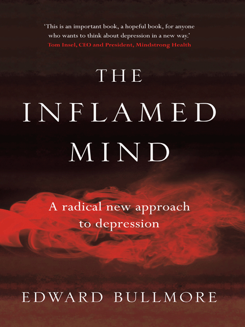 The Inflamed Mind