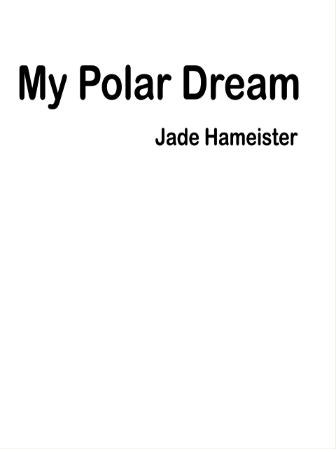 My Polar Dream