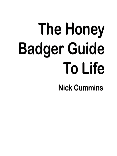 The Honey Badger Guide to Life