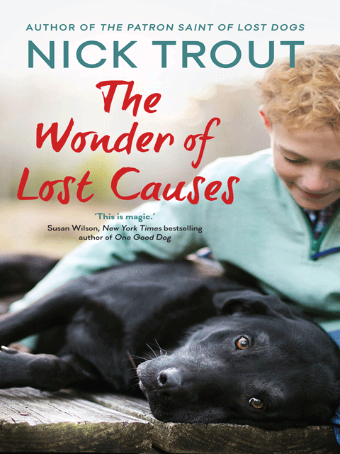 The Wonder of Lost Causes