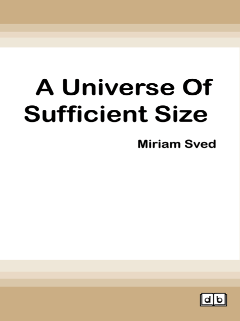 A Universe of Sufficient Size