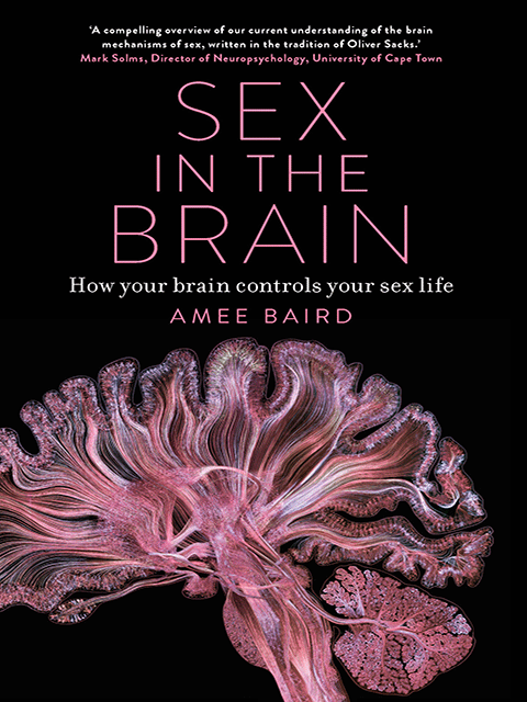 Sex in the Brain