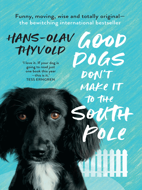 Good Dogs Don't Make It to the South Pole