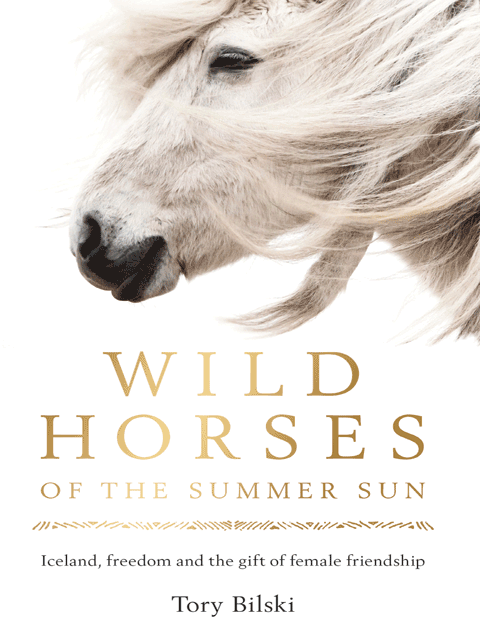 Wild Horses of the Summer Sun