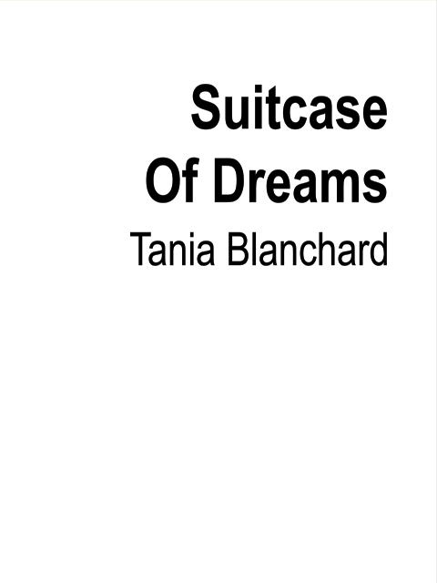 Suitcase of Dreams