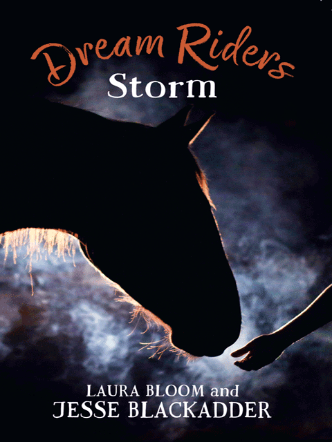 Dream Riders: Storm