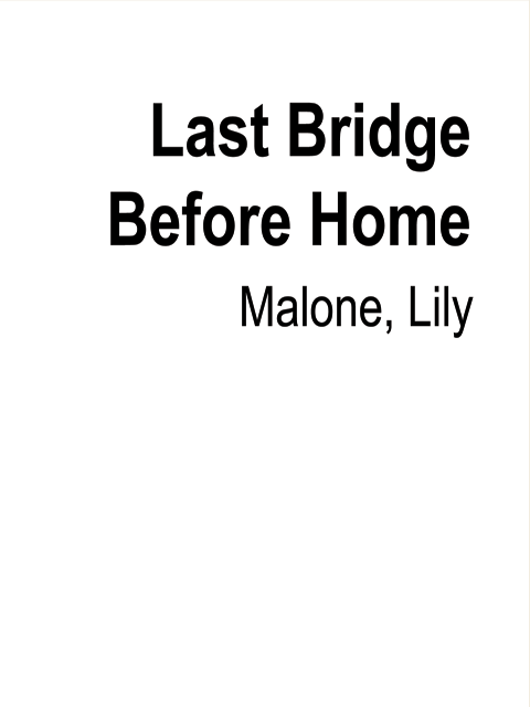 Last Bridge Before Home