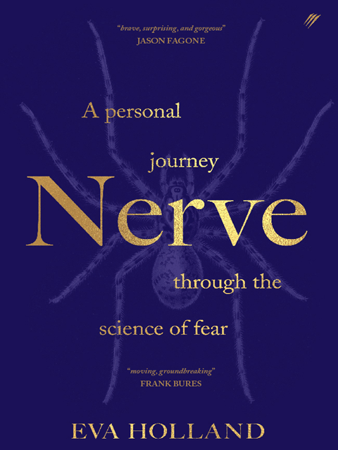 Nerve