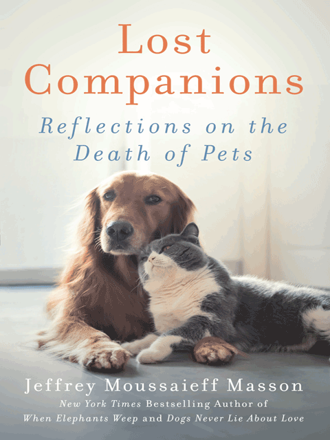 Lost Companions