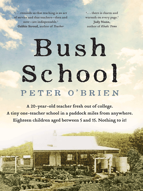 Bush School