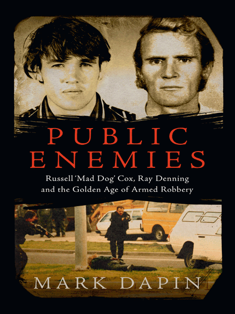 Public Enemies