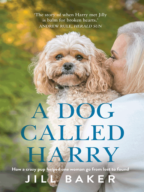 A Dog Called Harry
