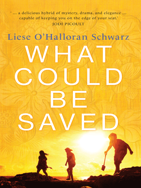 What Could Be Saved