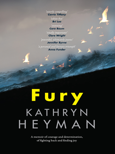 Fury