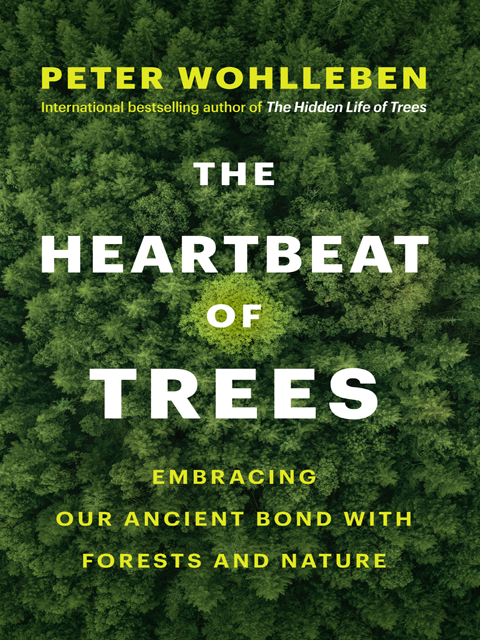 The Heartbeat of Trees